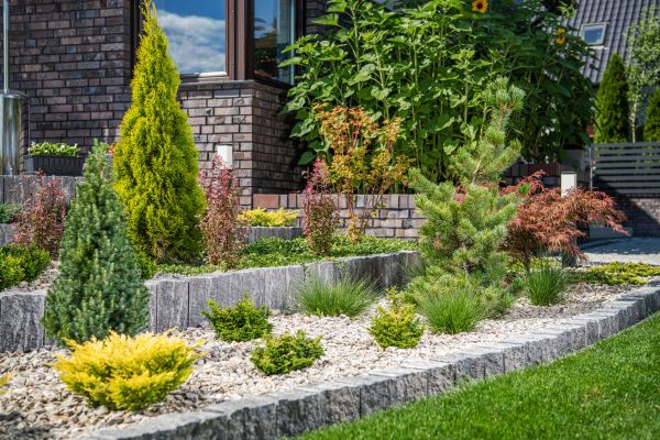 Landscape Construction Service