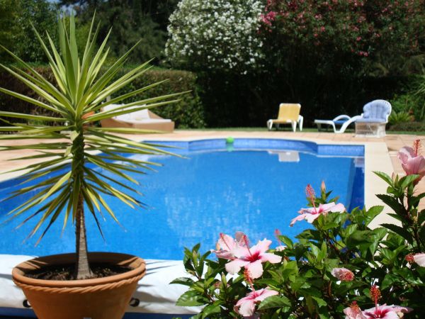 Pool Terrace Renovation in Brighton